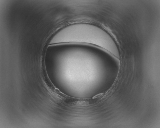 X0000074030154200608211145