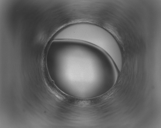 X0000074030156200608211145