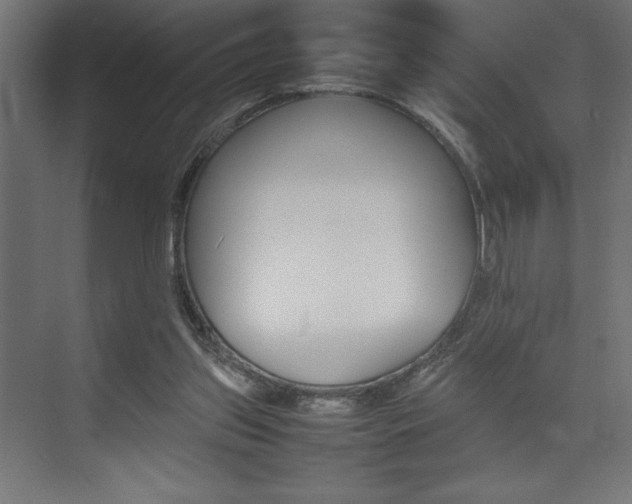 X0000074030157200608211145