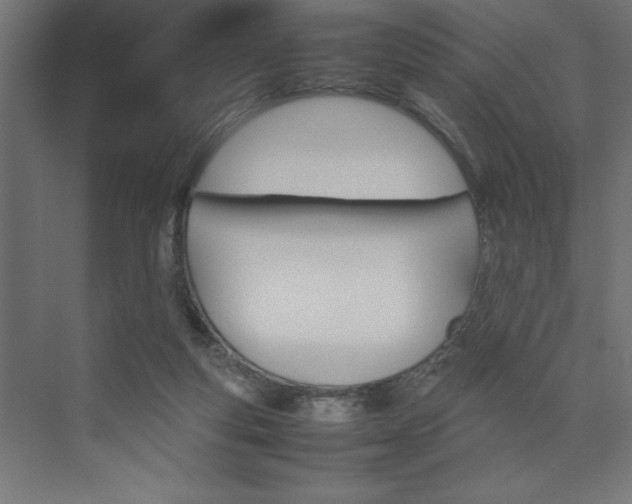 X0000074030163200608211145