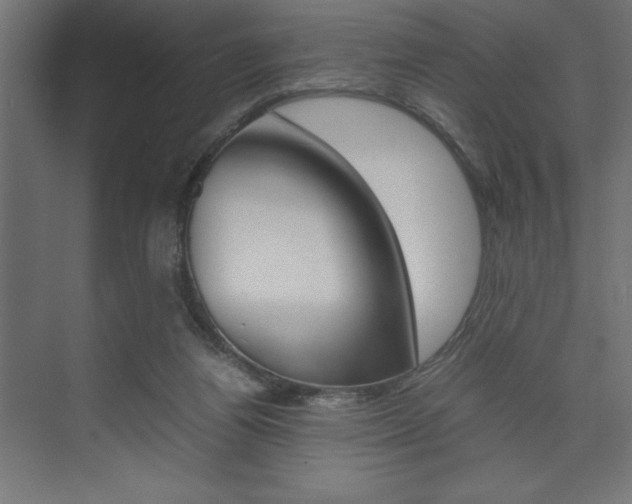 X0000074030164200608211145