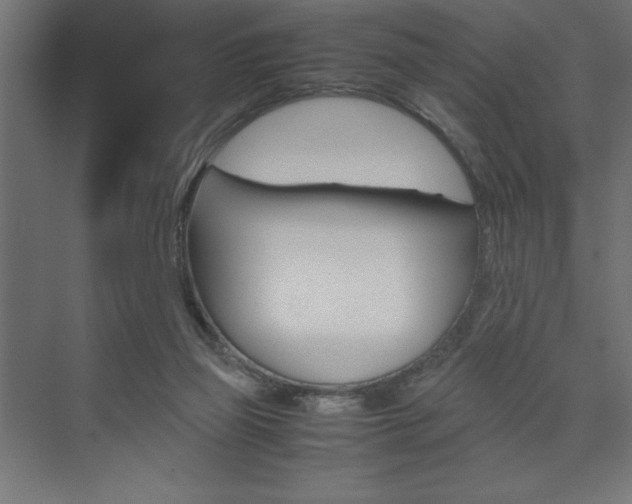 X0000074030165200608211145