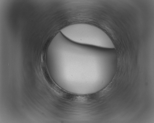 X0000074030166200608211145
