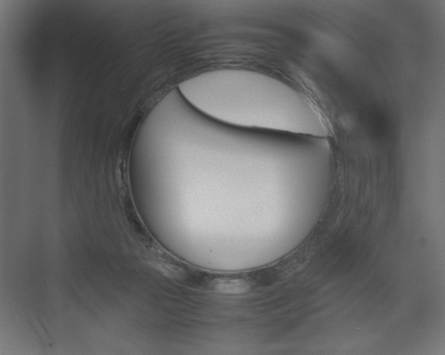 X0000074030169200608211145