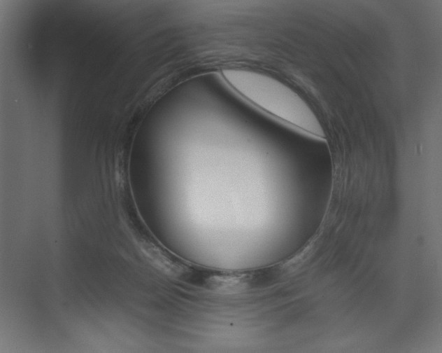 X0000074030170200608211145