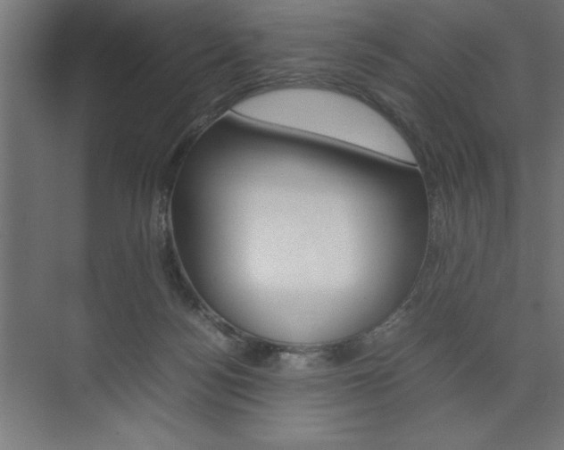 X0000074030172200608211145