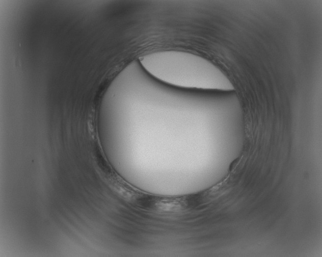 X0000074030175200608211145