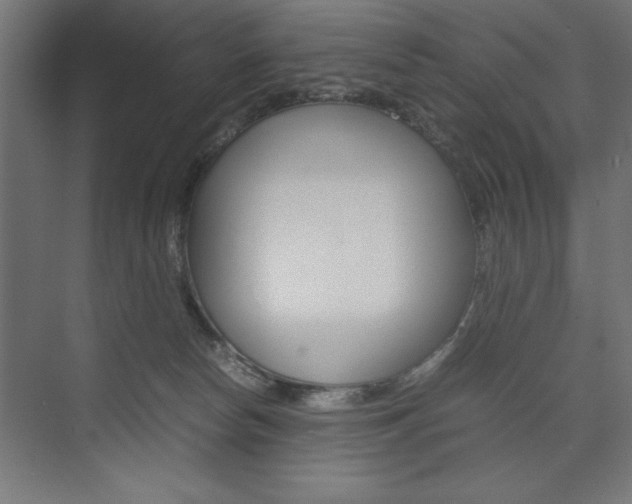 X0000074030178200608211145