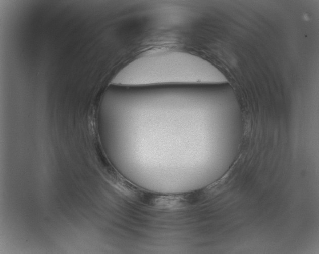 X0000074030179200608211145