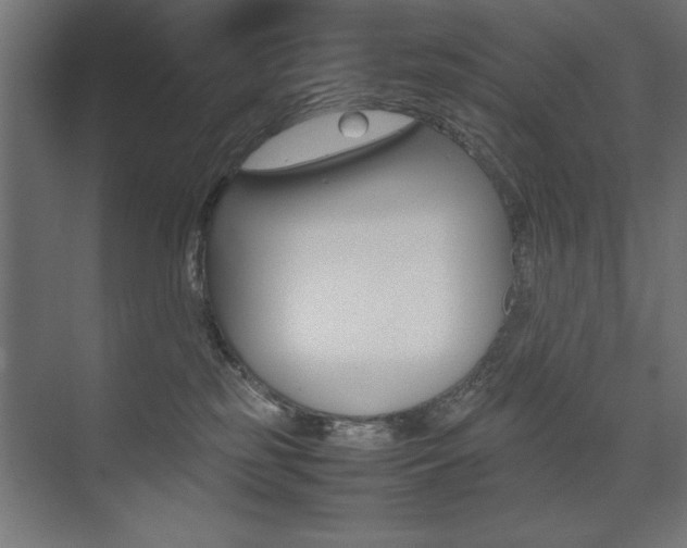 X0000074030185200608211146