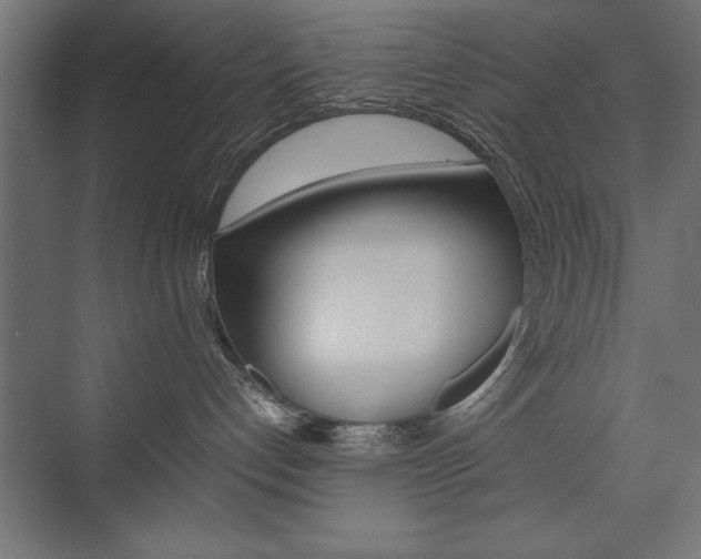 X0000074030192200608211146