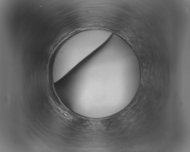X0000074030194200608211145