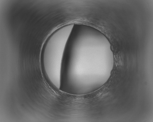 X0000074030196200608211145