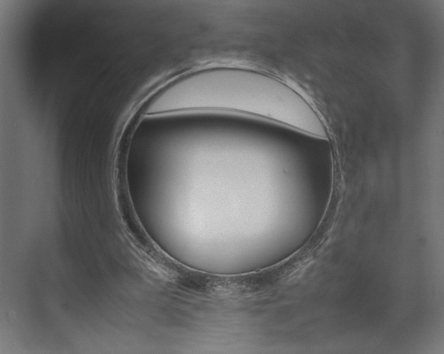 X0000074030199200608211145