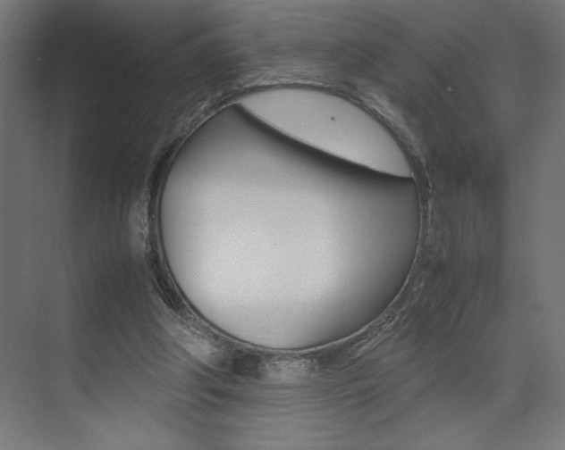X0000074030202200608211145