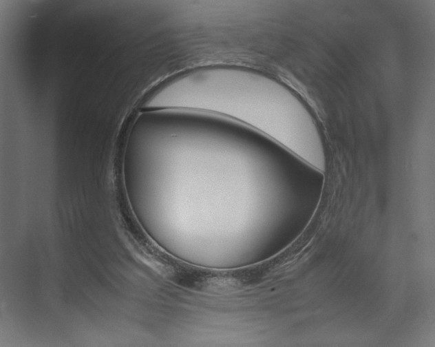 X0000074030203200608211145