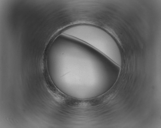 X0000074030204200608211145