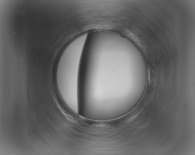 X0000074030205200608211145