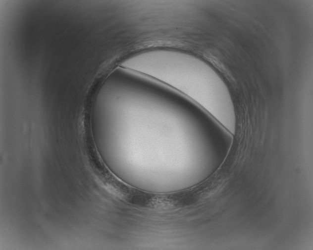 X0000074030207200608211145