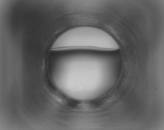 X0000074030211200608211145