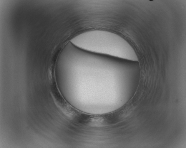 X0000074030214200608211145
