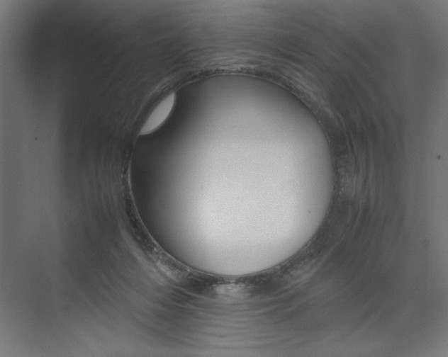 X0000074030216200608211145