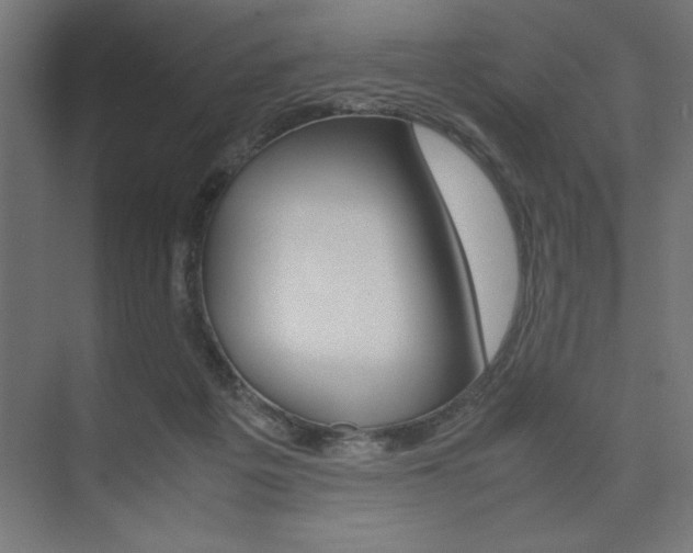 X0000074030217200608211145