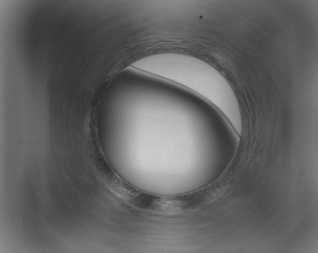 X0000074030221200608211144