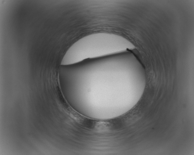 X0000074030222200608211144