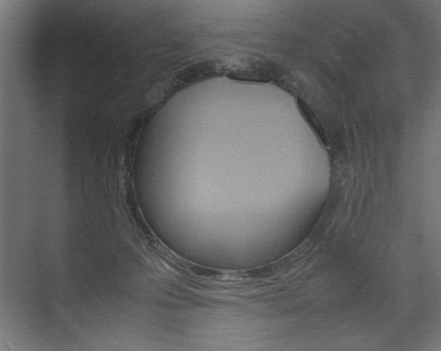 X0000074030223200608211144