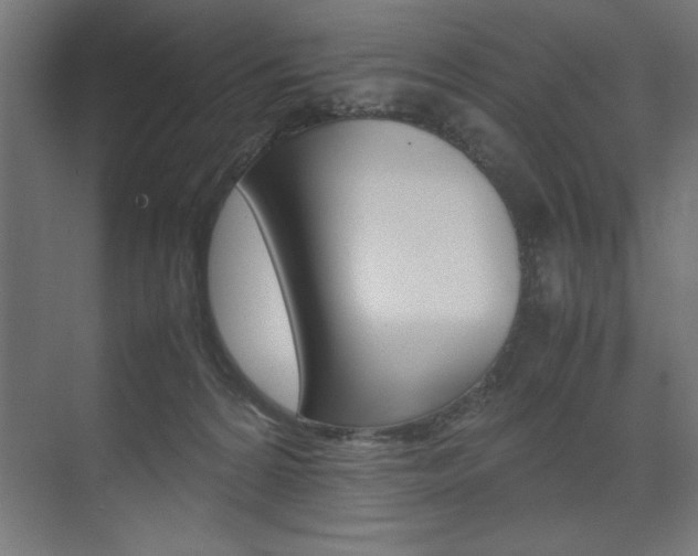 X0000074030224200608211144