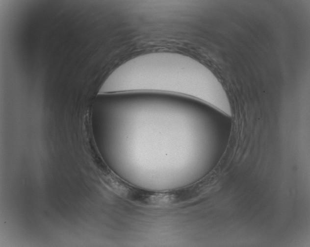 X0000074030225200608211144