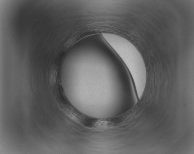 X0000074030227200608211144