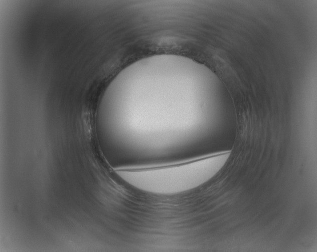X0000074030232200608211144