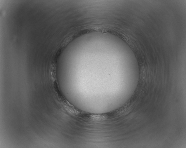 X0000074030234200608211144