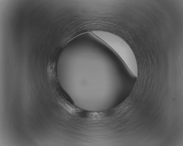 X0000074030239200608211144