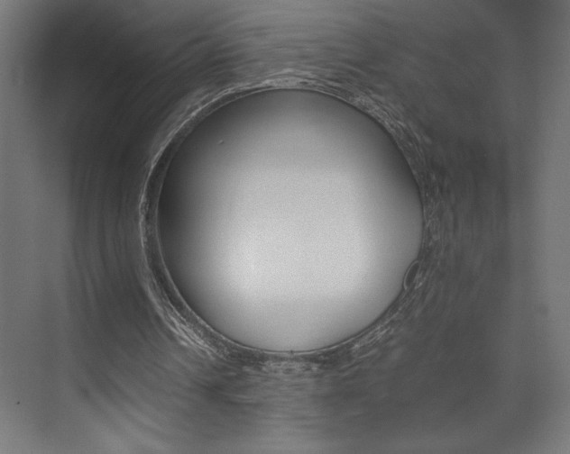 X0000074030242200608211143