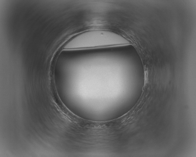 X0000074030243200608211143