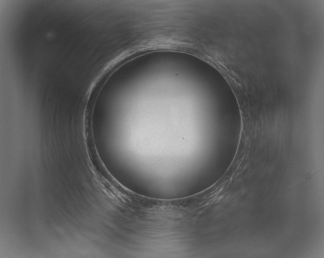 X0000074030244200608211143