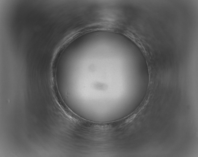 X0000074030245200608211143