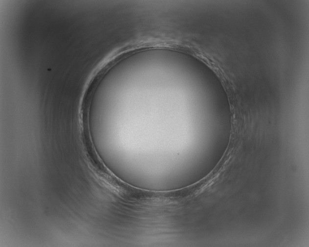 X0000074030246200608211143