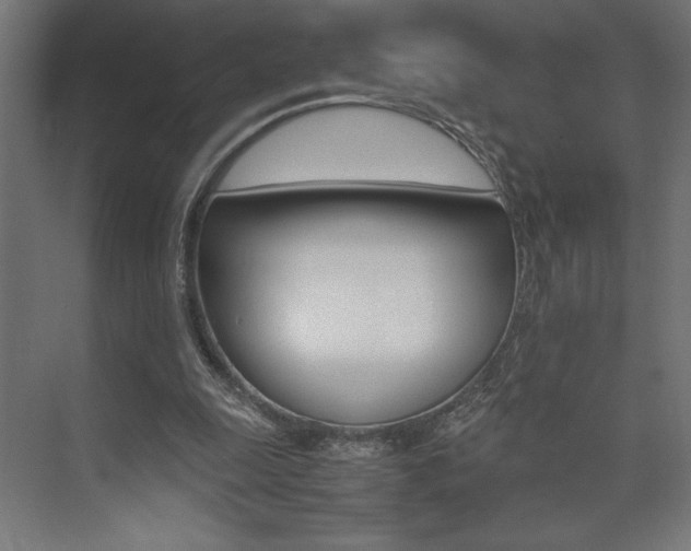 X0000074030247200608211143