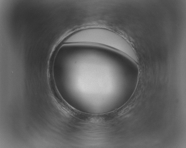X0000074030248200608211143