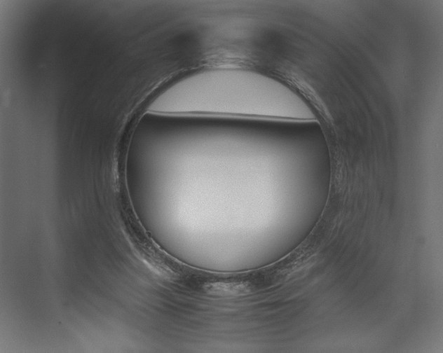 X0000074030251200608211143