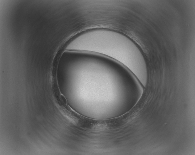 X0000074030252200608211143
