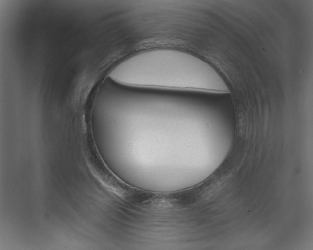 X0000074030254200608211144