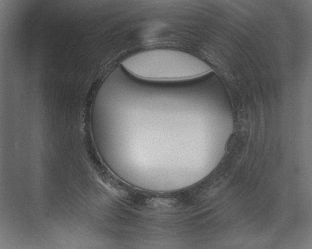 X0000074030255200608211144