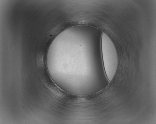 X0000074030262200608211144