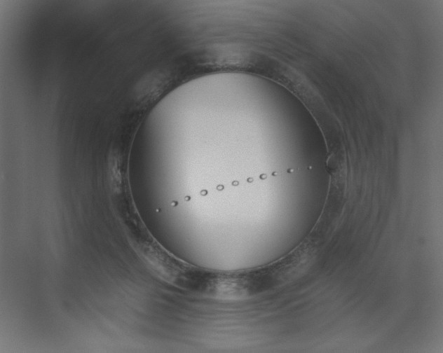 X0000074030264200608211144