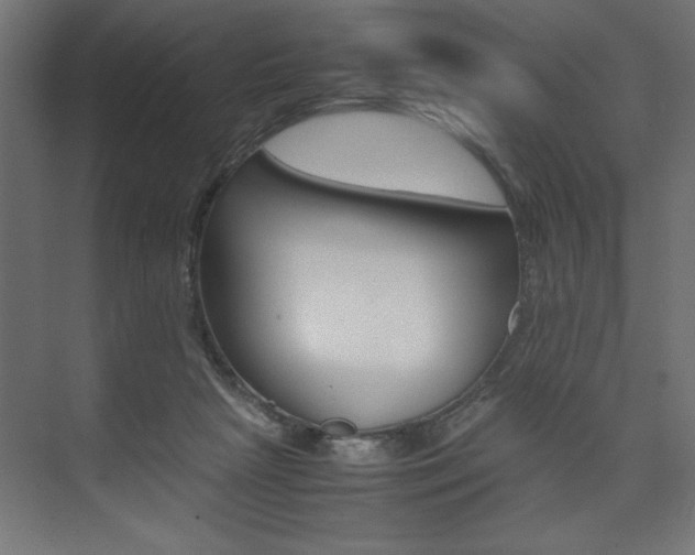 X0000074030265200608211144